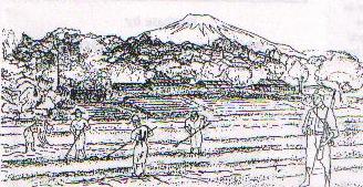 The Rabaul Nurses tending vegetable gardens in Japan 1945 © Graham Marriott The Rabaul Nurses tending vegetable gardens in Japan 1945 © Graham Marriott